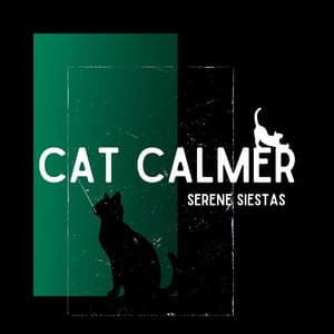 Serene Siestas: Soothing Sleep Solutions for Cats - Cat Calmer