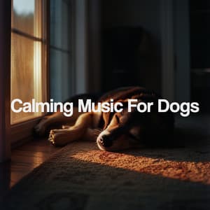 Calming Music For Dogs - Relaxing Spa Music