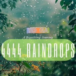4444 Raindrops: A Breathing Journey - Yo Ga