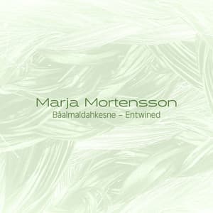Båalmaldahkesne - Entwined - Marja Mortensson