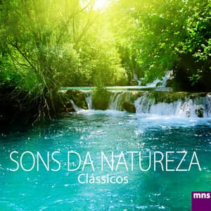 Sons da Natureza Clássicos - Música De Relaxamento