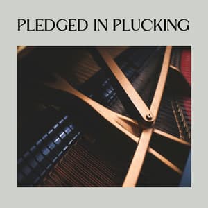 Pledged in Plucking - Calm Vibes