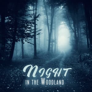 Night in the Woodland: Deep Sleep Meditation, Forest Dreaming, Relaxing Night Sounds of Crickets - Forest Hills Music Universe