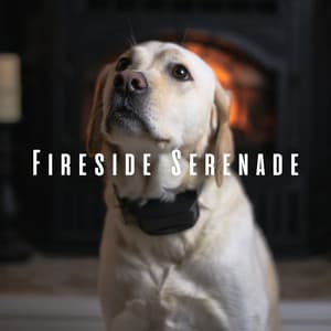 Fireside Serenade: Chill Sounds for a Calm Doggy Retreat - Flamespad Nature Fire Sounds
