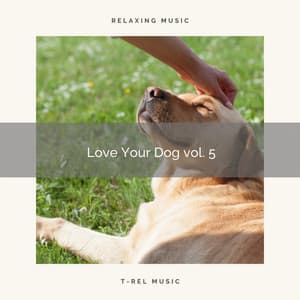 2021 New: Love Your Dog vol. 5 - Calm Pets Music Academy