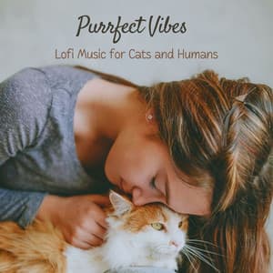 Purrfect Vibes: Lofi Music for Cats and Humans - Lofis