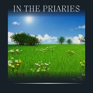 In the Priaries - Worldwide Nature Studios