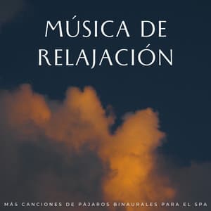 Música De Relajación: Más Canciones De Pájaros Binaurales Para El Spa - Musica Instrumental Para Relajar tus Sentidos