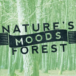 Nature's Moods: Forest - Nature's Mystic Moods