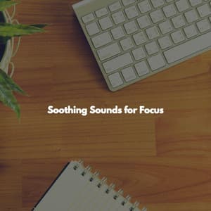 Soothing Sounds for Focus - New York City Jazz Club