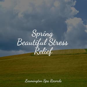 Spring Beautiful Stress Relief - Sounds of Nature Relaxation