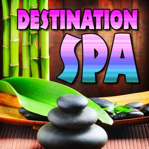 Destination Spa - Dr. Meditation