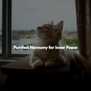 Purrfect Harmony for Inner Peace - Lounge Music Cafe