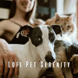 Lofi Pet Serenity: Chill Music for Tranquil Times - Chilledcow