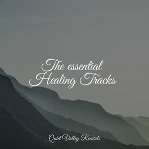 The essential Healing Tracks - Oceanic Yoga Pros