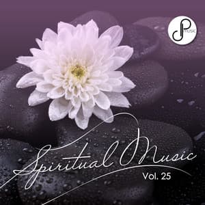 Spiritual Music, Vol. 25 - Spiritual Music