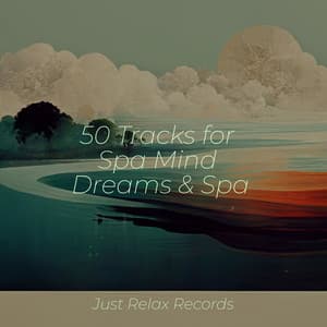 50 Tracks for Spa Mind Dreams & Spa - Música ambiental relajante
