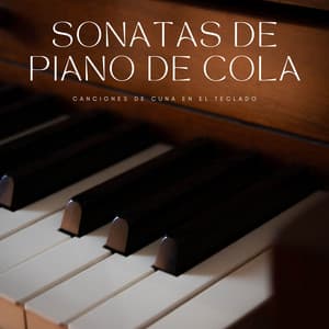 Sonatas De Piano De Cola: Canciones De Cuna En El Teclado - Maestros de la música clásica del piano