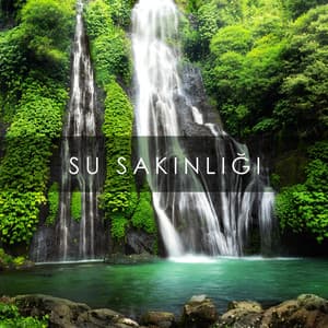 Su Sakinliği: Rahatlatıcı Yağmur Sesleri, Şelale, Nehir, Dere, Okyanus Dalgaları - Rahatla Zamanı Vaha