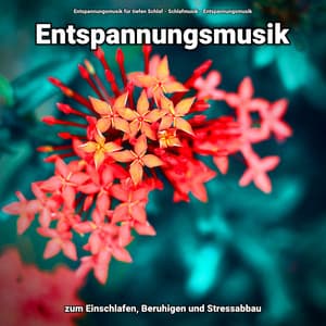 Entspannungsmusik zum Einschlafen, Beruhigen und Stressabbau - Entspannungsmusik für tiefen Schlaf
