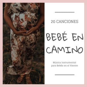 Bebé en Camino 20 Canciones: Música Instrumental para Bebés en el Vientre - Musica para Bebes