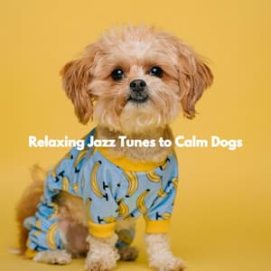 Relaxing Jazz Tunes to Calm Dogs - Essential Dinner Party Background Music