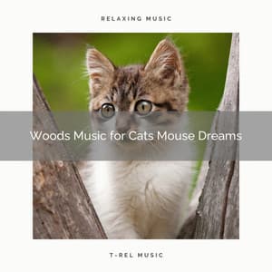 Woods Music for Cats Mouse Dreams - Music for Relaxing Cats