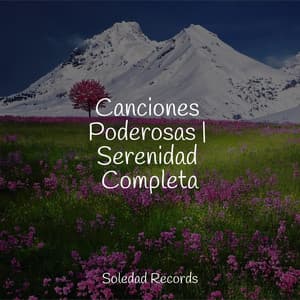 Canciones Poderosas | Serenidad Completa - Yoga Para Ninos