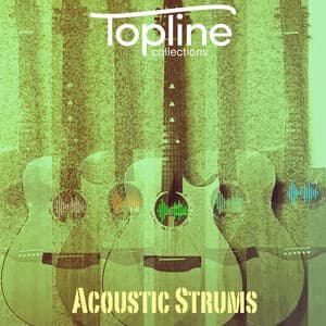 Topline Collections: Acoustic Strums - Dave Cooke