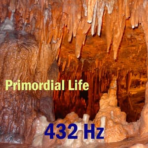 Primordial Life - 432 Hz