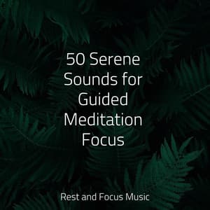 50 Serene Sounds for Guided Meditation Focus - Deep Focus
