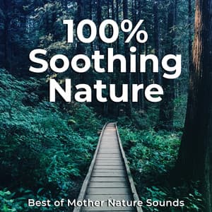 100% Soothing Nature - Best of Mother Nature Sounds
