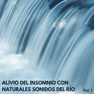 Alivio Del Insomnio Con Naturales Sonidos Del Río Vol. 1 - Paisajes sonoros de roca de agua