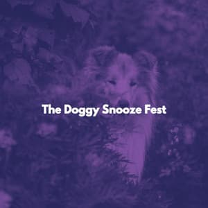 The Doggy Snooze Fest - Easy Listening Office Music
