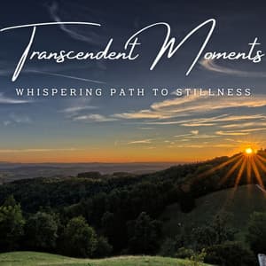 Transcendent Moments: Meditative Meditation Music - Peaceful Meditation Echoes