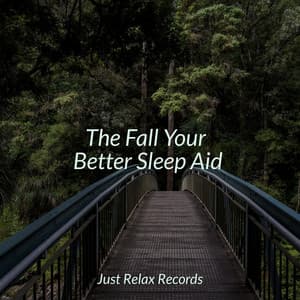 The Fall Your Better Sleep Aid - Smart Baby Lullaby