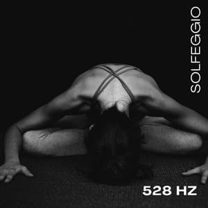 528 Hz: Relaxing Solfeggio Sounds - Solfeggio Frequencies Tones