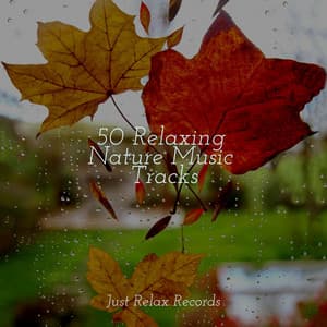 50 Relaxing Nature Music Tracks - Baby Lullaby