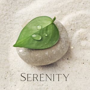 Serenity: Mindful Meditation, Tranquil Nature Melodies, Yoga, Reiki Vibes, Soothing Spa Melodies, Healing Pure White Harmony - Inspiring Tranquil Sounds