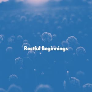 Restful Beginnings - Fine Dining Music