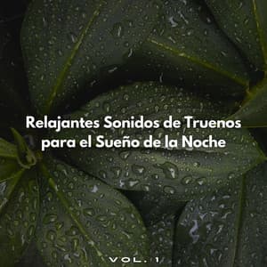 Relajantes Sonidos De Truenos Para El Sueño De La Noche Vol. 1 - Sueño Profundo Lluvia y Truenos