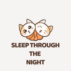 Sleep Through The Night - My Baby Beethoven