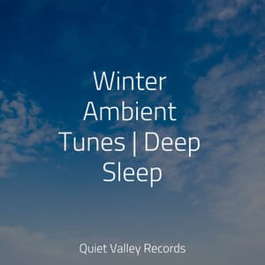Winter Ambient Tunes | Deep Sleep - Pure Serenity Spa Music & Massage Collective Garden & Zen Relaxation Meditation