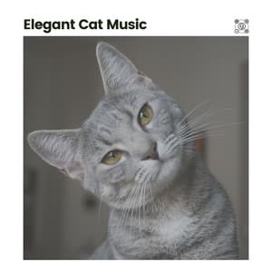 Elegant Cat Music - Music for Cats Peace