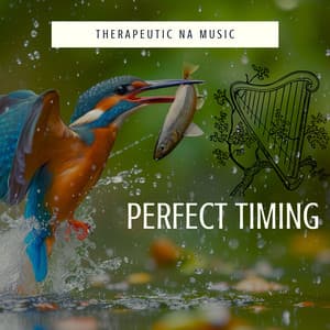 Perfect Timing - Therapeutic NA Music