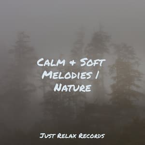 Calm & Soft Melodies | Nature - Mantra para Meditar