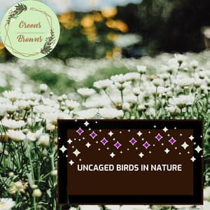 Uncaged Birds in Nature - Calm Music