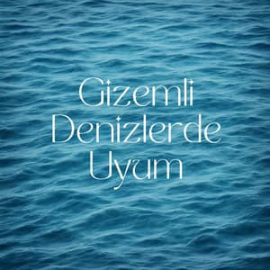 Gizemli Denizlerde Uyum - Anghashi