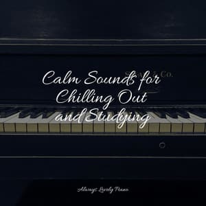 50 Tracks to Relax Your Mind - Piano Therapy