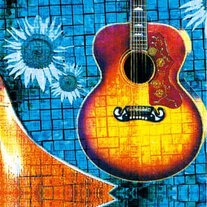 Folk & Blues Guitar - Paul Lenart